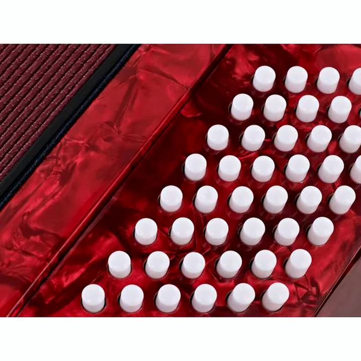 Startone Piano Accordion 48 Red MKII – Avis, Test