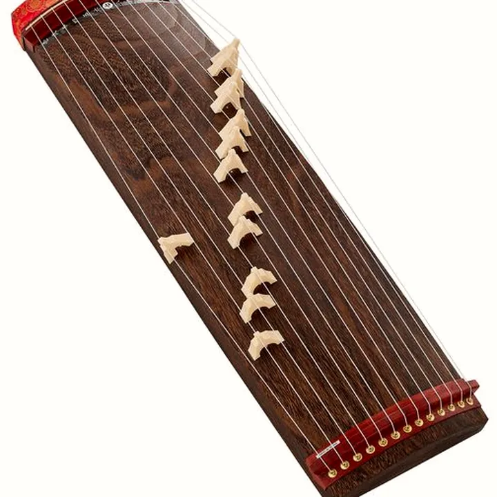 Suzuki Koto 3 Shaku Ryuogi Stud. Set Avis, Test