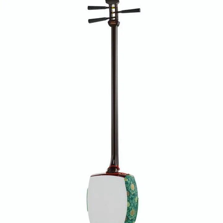 Suzuki Shamisen Special Set MS-8 : Avis, Comparatif et Test