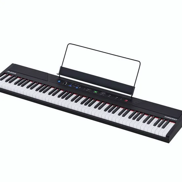 Test & Avis : Alesis Concert
