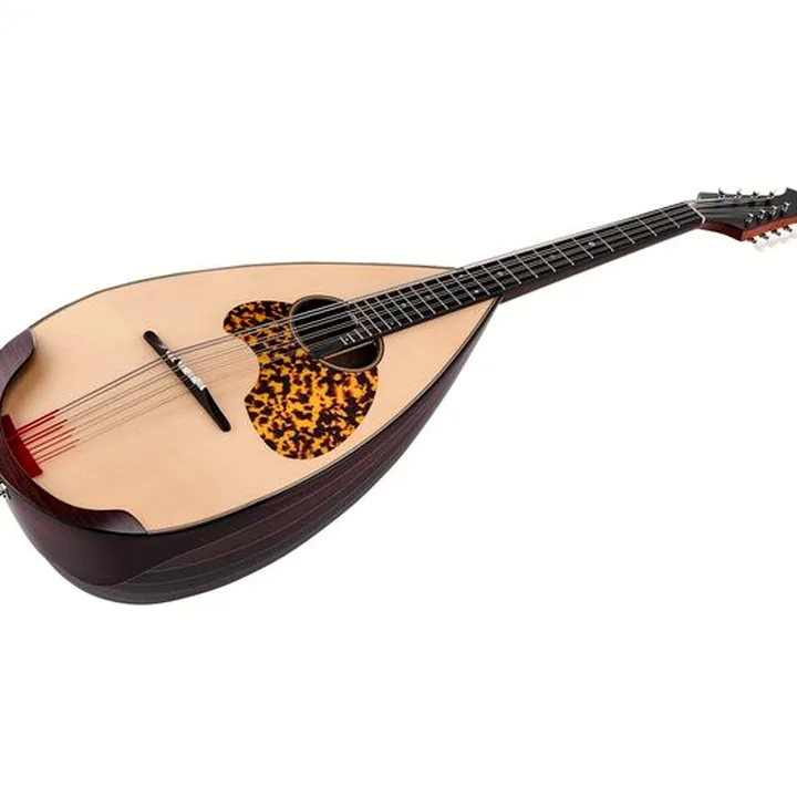 Test, Avis : Atsushi Miyano Mandoloncello MC-1 RG