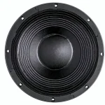 Test, Avis : B&C 12TBX100