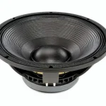 Test, Avis : B&C 15 PS 100