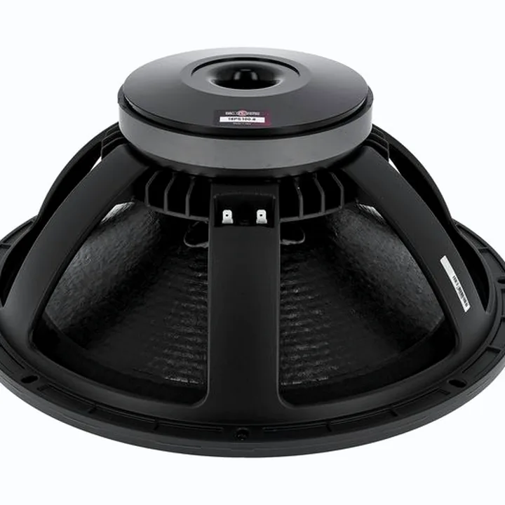 Test & Avis : B&C 18 PS 100