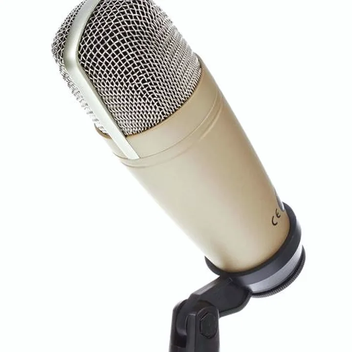 Test, Avis : Behringer C-1
