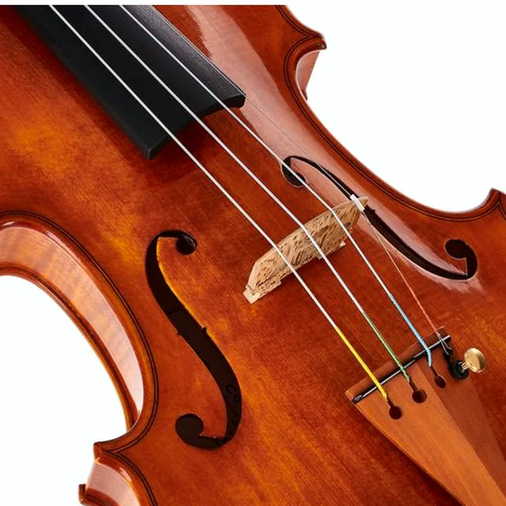 Avis et Test : Conrad Götz Signature Cantonate 136 Violin