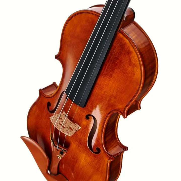 Avis et Test : Conrad Götz Signature Cantonate 136 Violin