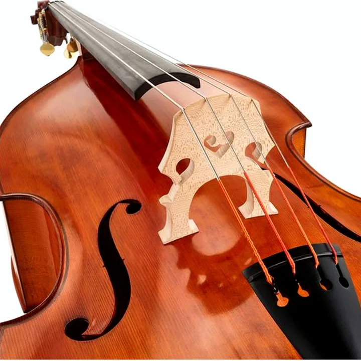 Test, Avis de la contrebasse Meister Rubner Double Bass No.67 3/4