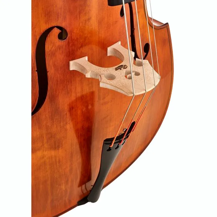 Test, Avis de la contrebasse Meister Rubner Double Bass No.67 3/4