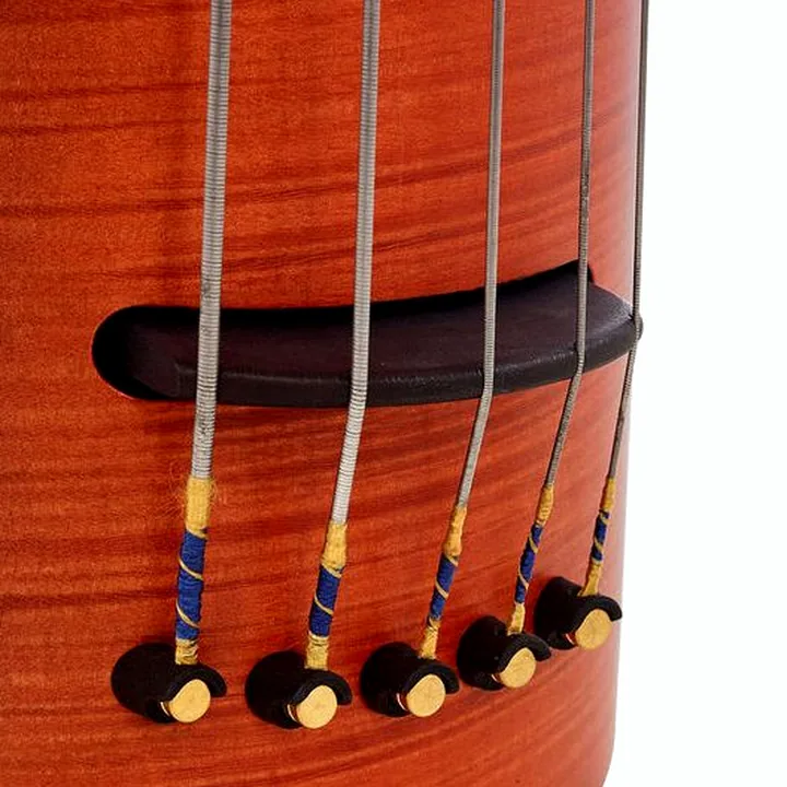 Test, Avis de la contrebasse NS Design NXT5a-OB-AB Omni Bass B-G