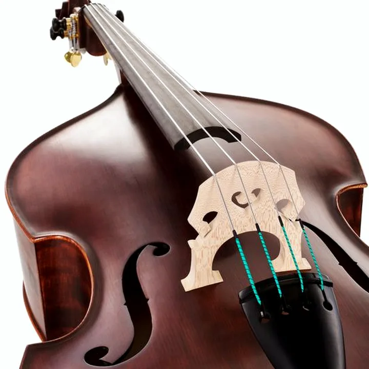 Test & Avis de la contrebasse Roth & Junius Europe Orchestra Bass 3/4