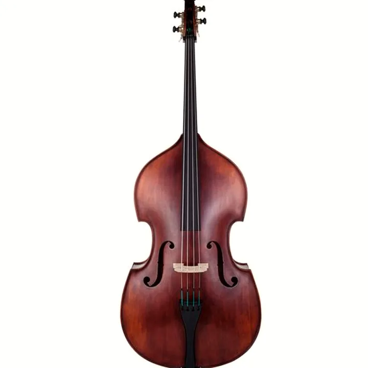 Test & Avis de la contrebasse Roth & Junius Europe Orchestra Bass 3/4