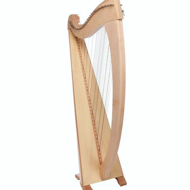 Test, Avis de la harpe Salvi SALUNA-ASS Una Natural