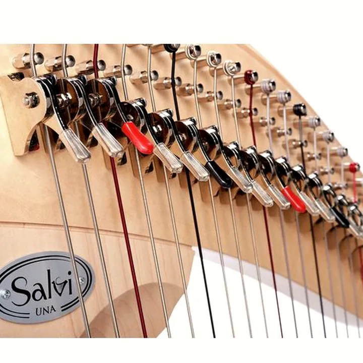 Test, Avis de la harpe Salvi SALUNA-ASS Una Natural