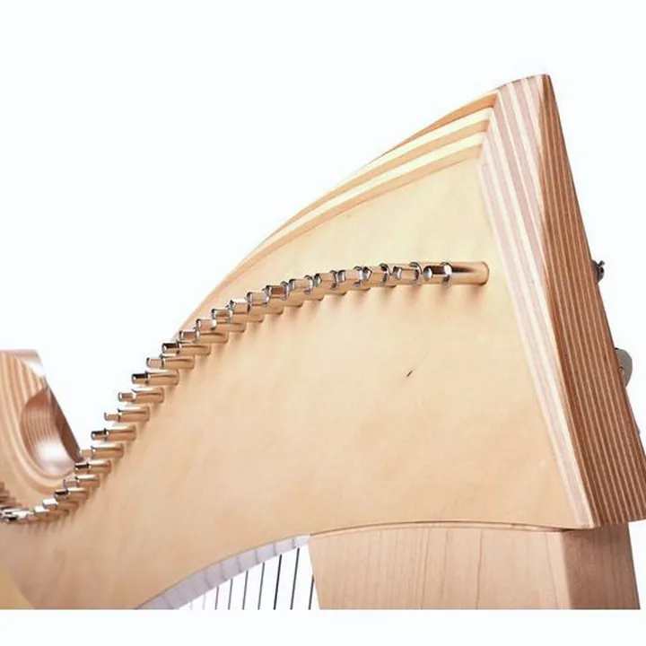 Test, Avis de la harpe Salvi SALUNA-ASS Una Natural