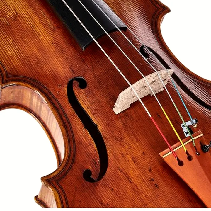 Test & Avis de l’alto Scala Vilagio F.H. Gasparo da Salo Viola