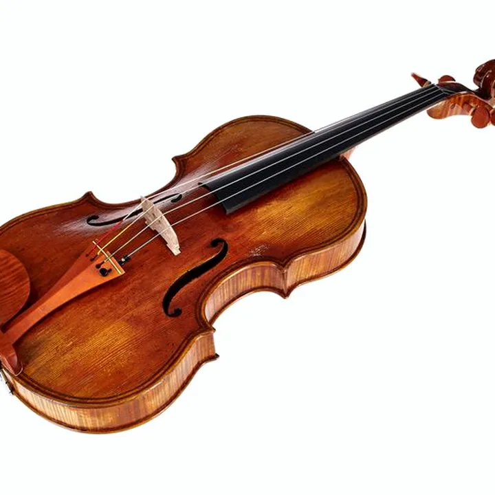 Test & Avis de l’alto Scala Vilagio F.H. Gasparo da Salo Viola
