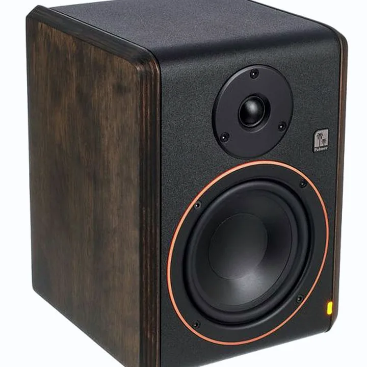 Test, Avis de l’enceinte de monitoring Palmer STUDIMON 5