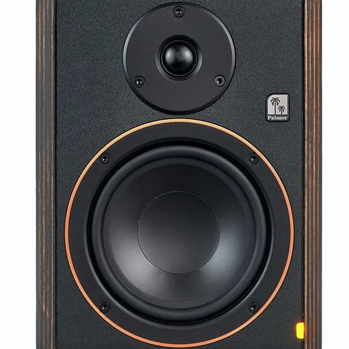 Test, Avis de l’enceinte de monitoring Palmer STUDIMON 5