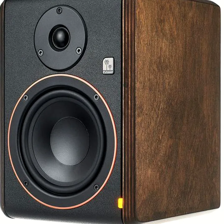 Test, Avis de l’enceinte de monitoring Palmer STUDIMON 5