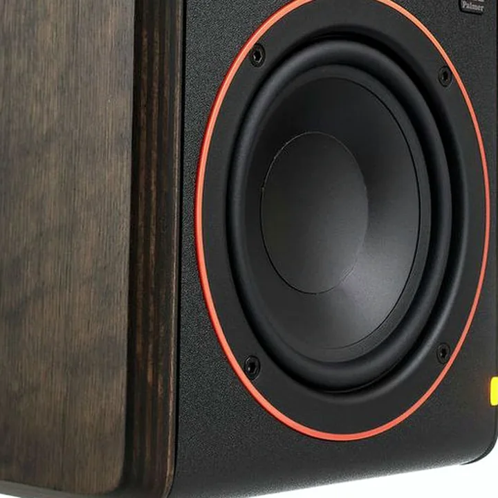 Test, Avis de l’enceinte de monitoring Palmer STUDIMON 5