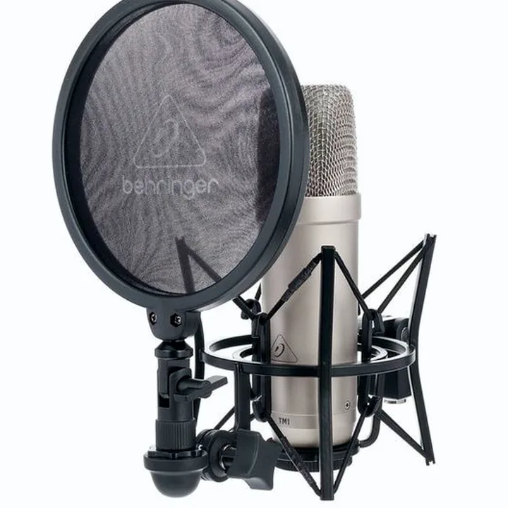 Test, Avis du micro Behringer TM1 CompleteVocalRecording