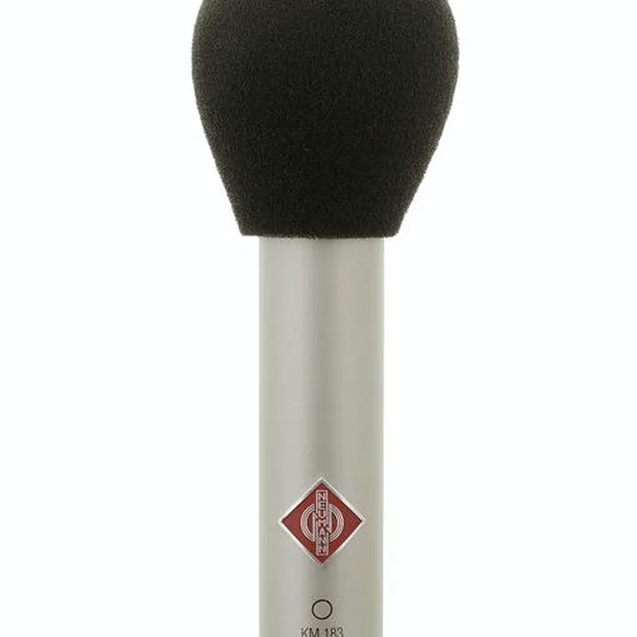 Test, Avis du micro Neumann KM183
