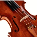Test et Avis : Conrad Götz Heritage Cantonate 140 Violin