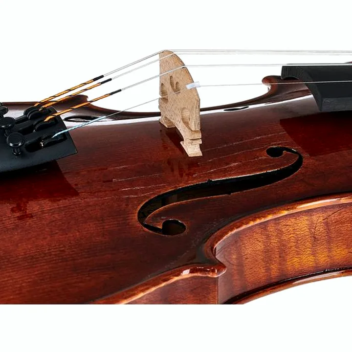 Test, Avis du violon Gewa Maestro 26 Guarneri Violin