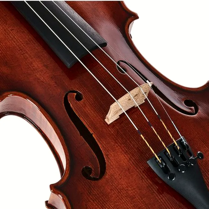 Test, Avis du violon Gewa Maestro 26 Guarneri Violin