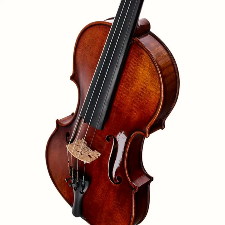 Test, Avis du violon Gewa Maestro 26 Guarneri Violin