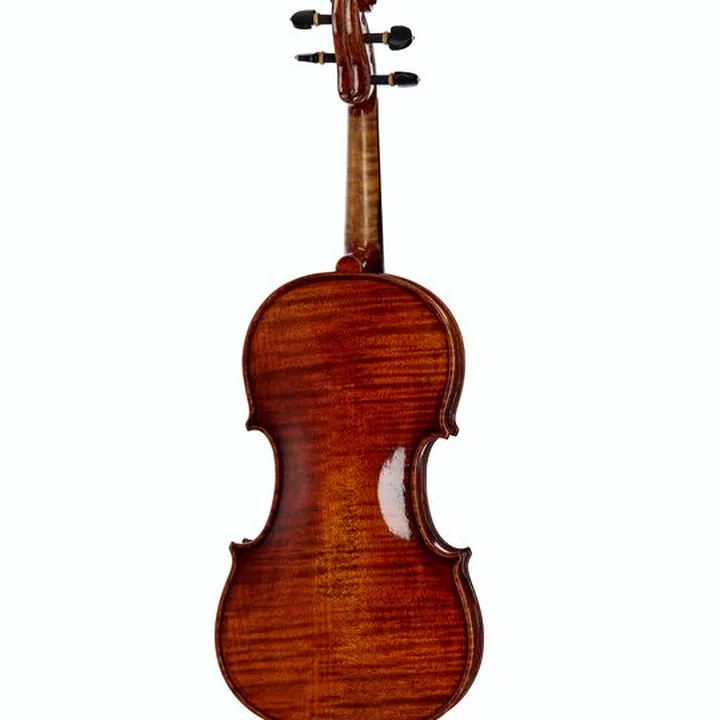 Test, Avis du violon Gewa Maestro 26 Guarneri Violin