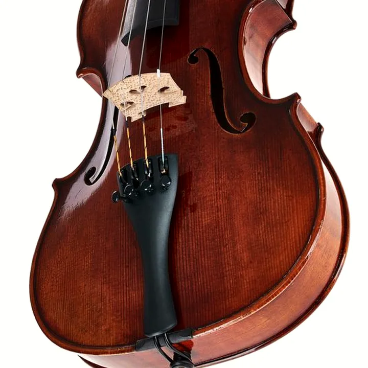Test, Avis du violon Gewa Maestro 26 Guarneri Violin