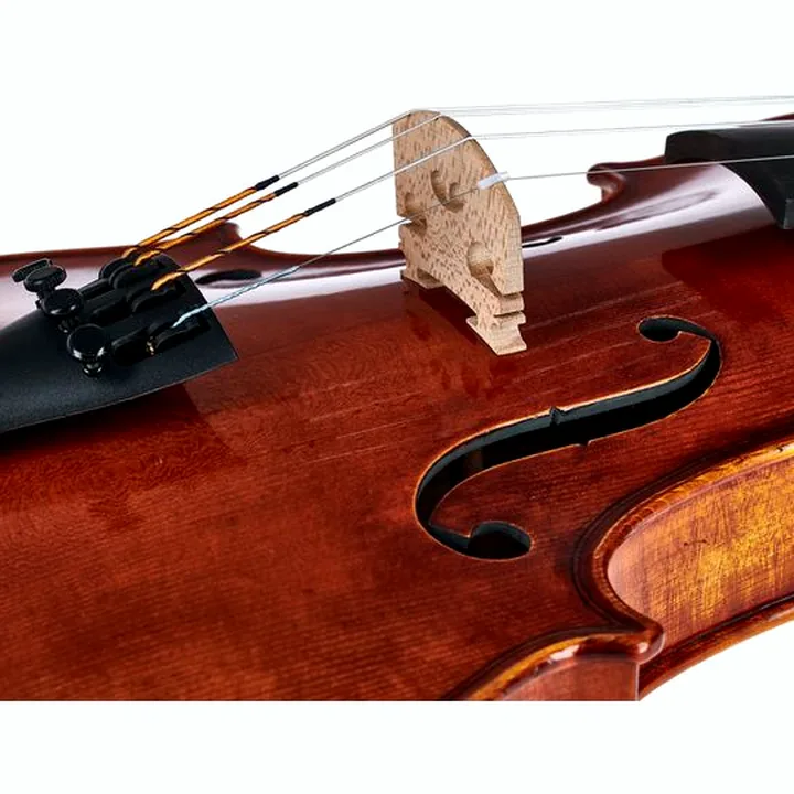 Test & Avis : Gewa Maestro 71 Stradivari Violin