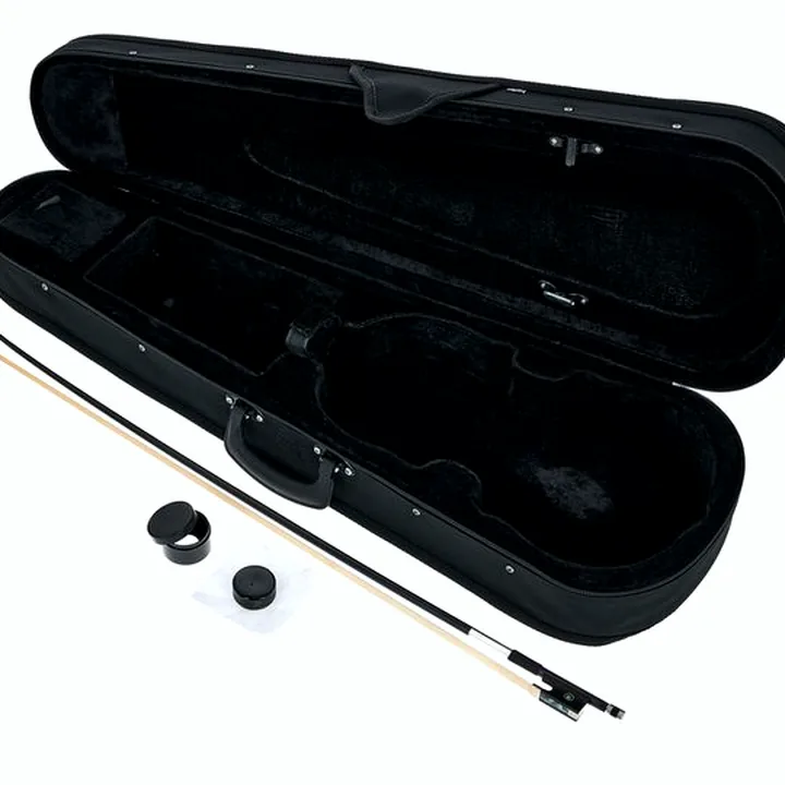 Avis et Test du violon Harley Benton HBV 800BLM Acoustic-Electric