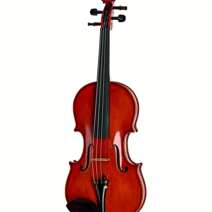 Test, Avis du violon Hidersine Edwin Whitmarsh Violin Set 4/4