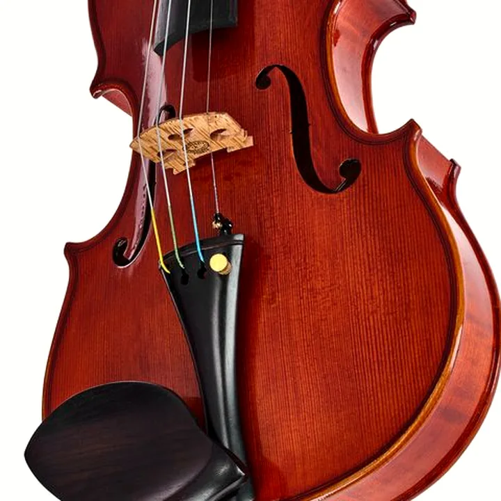 Test, Avis du violon Hidersine Edwin Whitmarsh Violin Set 4/4