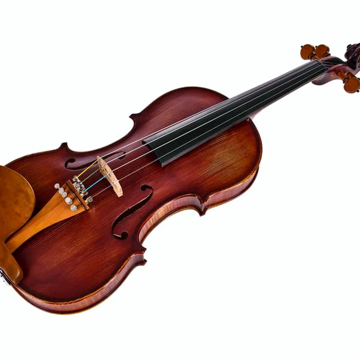 Test & Avis du violon Roth & Junius Europe Orchestra Violin Set GB