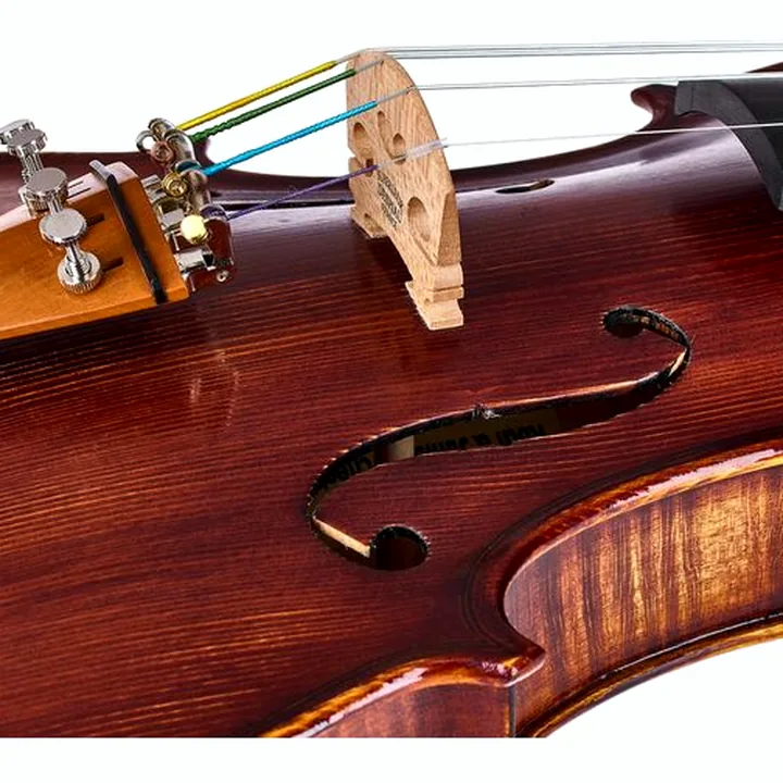 Test & Avis du violon Roth & Junius Europe Orchestra Violin Set GB