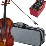 Test & Avis du violon Roth & Junius Europe Orchestra Violin Set GB