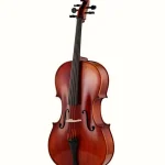 Test & Avis du violoncelle Eastman R. Doetsch Cello VC7015G+ 4/4