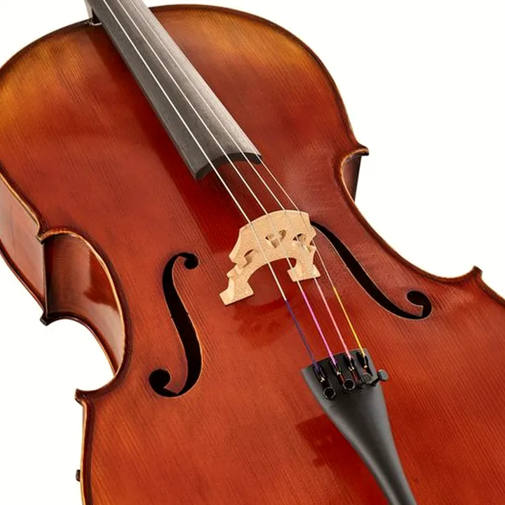 Test & Avis du violoncelle Gewa Allegro VC1 A Cello 4/4 CB
