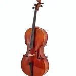 Test & Avis du violoncelle Gewa Maestro 26 Cello 4/4