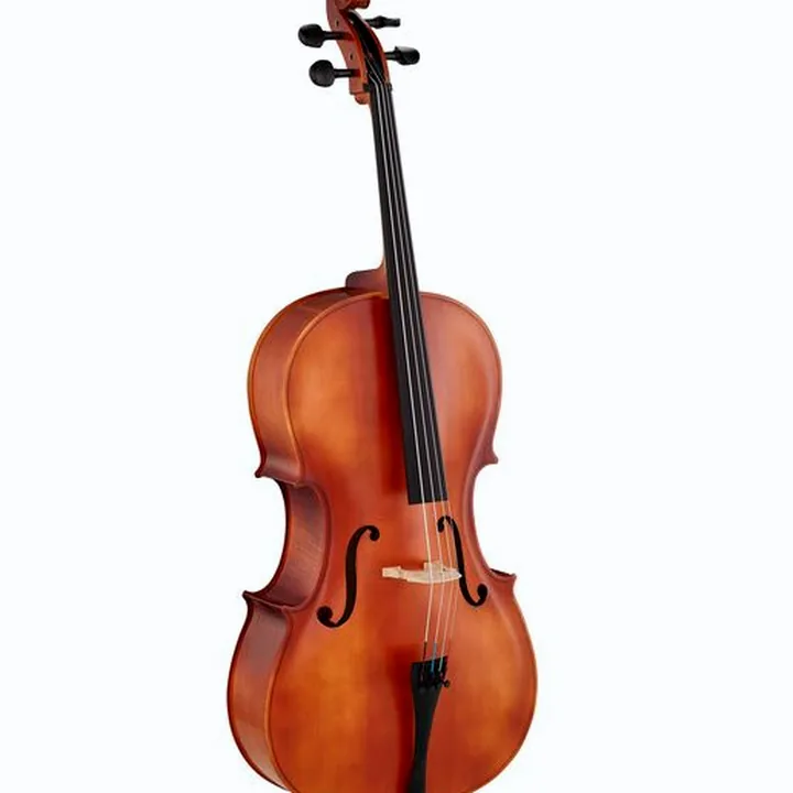 Test, Avis du violoncelle Hidersine Uno Cello Set 3/4