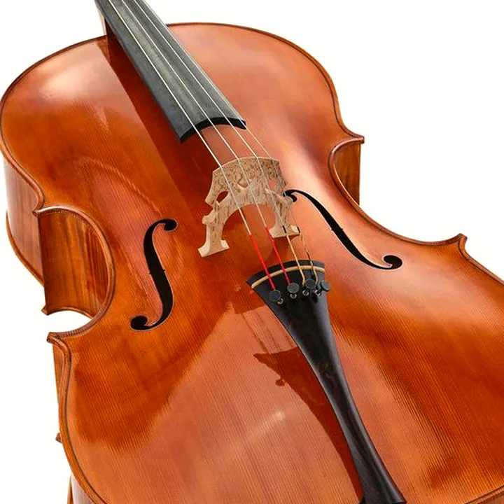 Test, Avis du violoncelle Luca Zerilli Cello Montagnana Napoli 4/4