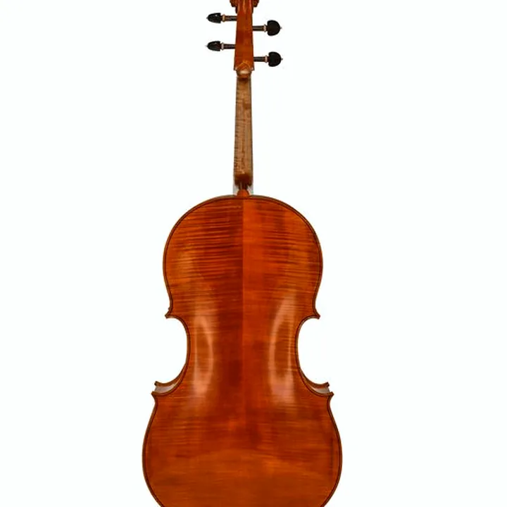 Test, Avis du violoncelle Luca Zerilli Cello Montagnana Napoli 4/4