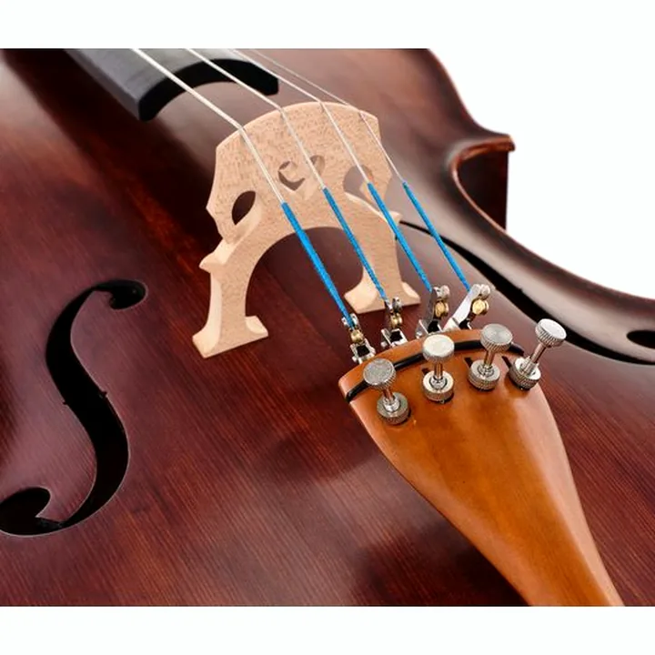 Test, Avis du violoncelle Roth & Junius Europe Orchestra Cello An/Bw