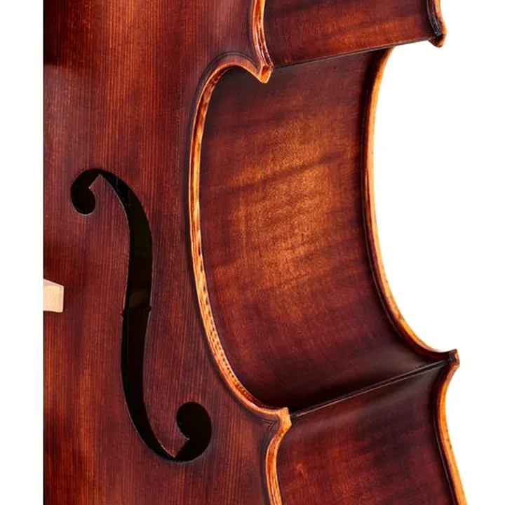 Test, Avis du violoncelle Roth & Junius Europe Orchestra Cello An/Bw