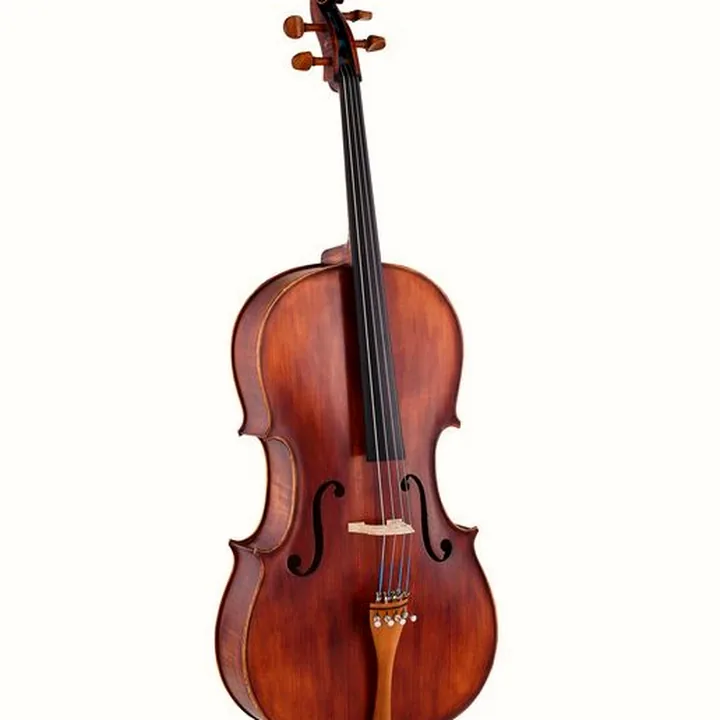 Test, Avis du violoncelle Roth & Junius Europe Orchestra Cello An/Bw
