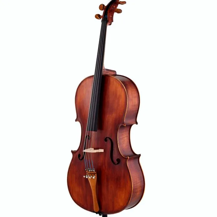 Test, Avis du violoncelle Roth & Junius Europe Orchestra Cello An/Bw